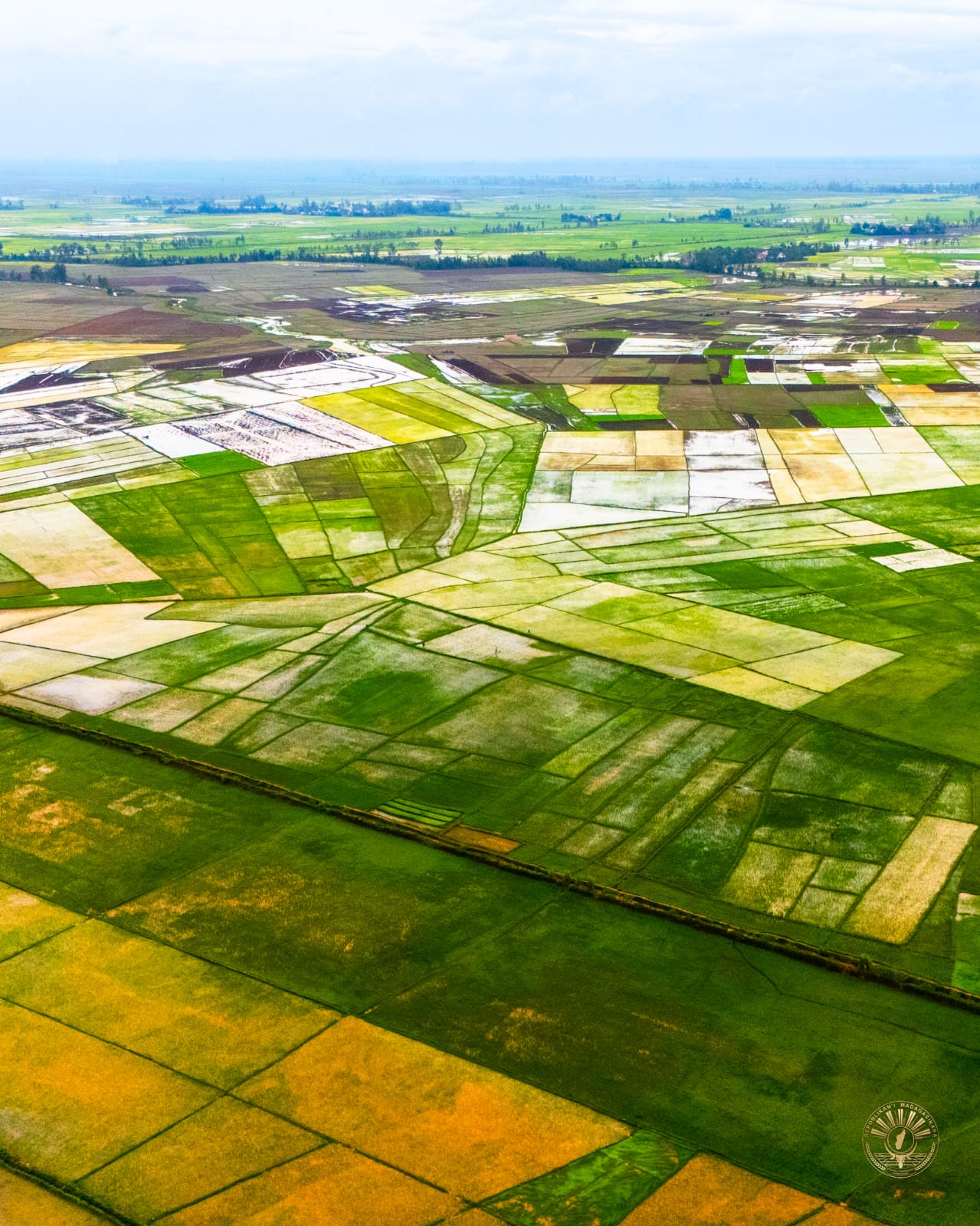 JERY TODIKA AN'IREO ZAVA-BITA NY VOLANA JANOARY 2025