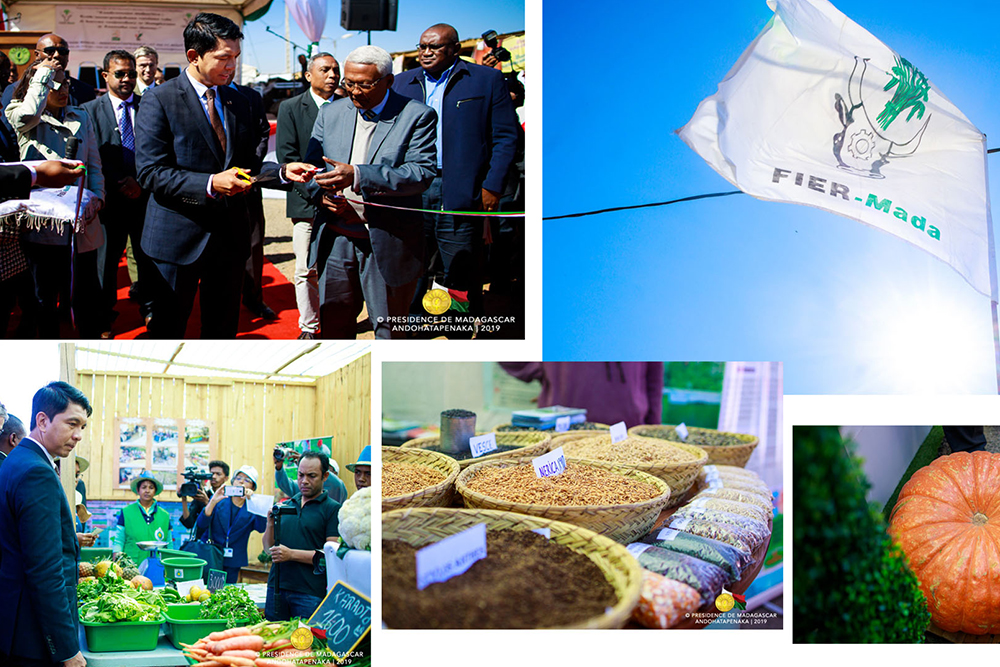 FAMPANDROSOANA NY TONTOLO AMBANIVOHITRA : HIFANOME TANANA AMIN’IREO TANTSAHA NY FITONDRAM-PANJAKANA