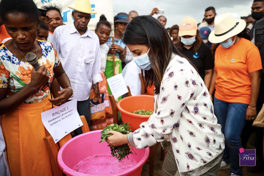 Toliara : 3000 plants de moringa plantés sur une superficie de 5Ha 