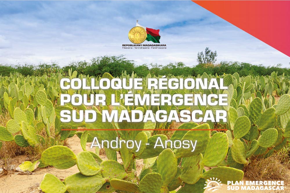 12 juin 2021 : Colloque régional pour l’émergence du sud de Madagascar Tolagnaro (suite 2)