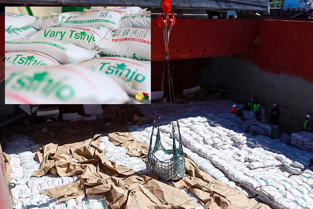 VARY TSINJO : TONGA AO TOAMASINA ARY HO TSINJARAINA MANERANA NY NOSY