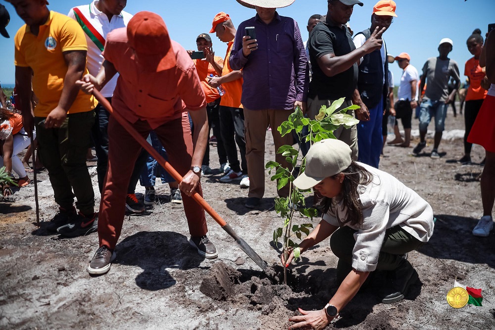 Lancement de la campagne de reboisement 2023 à Ilaka Est, district de Vatomandry