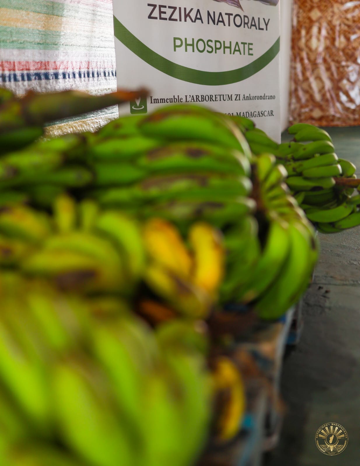 Fanolorana ireo milina mpanodina akondro ho chips ho an'ny Kaoperativa Tanjona Mamokatra