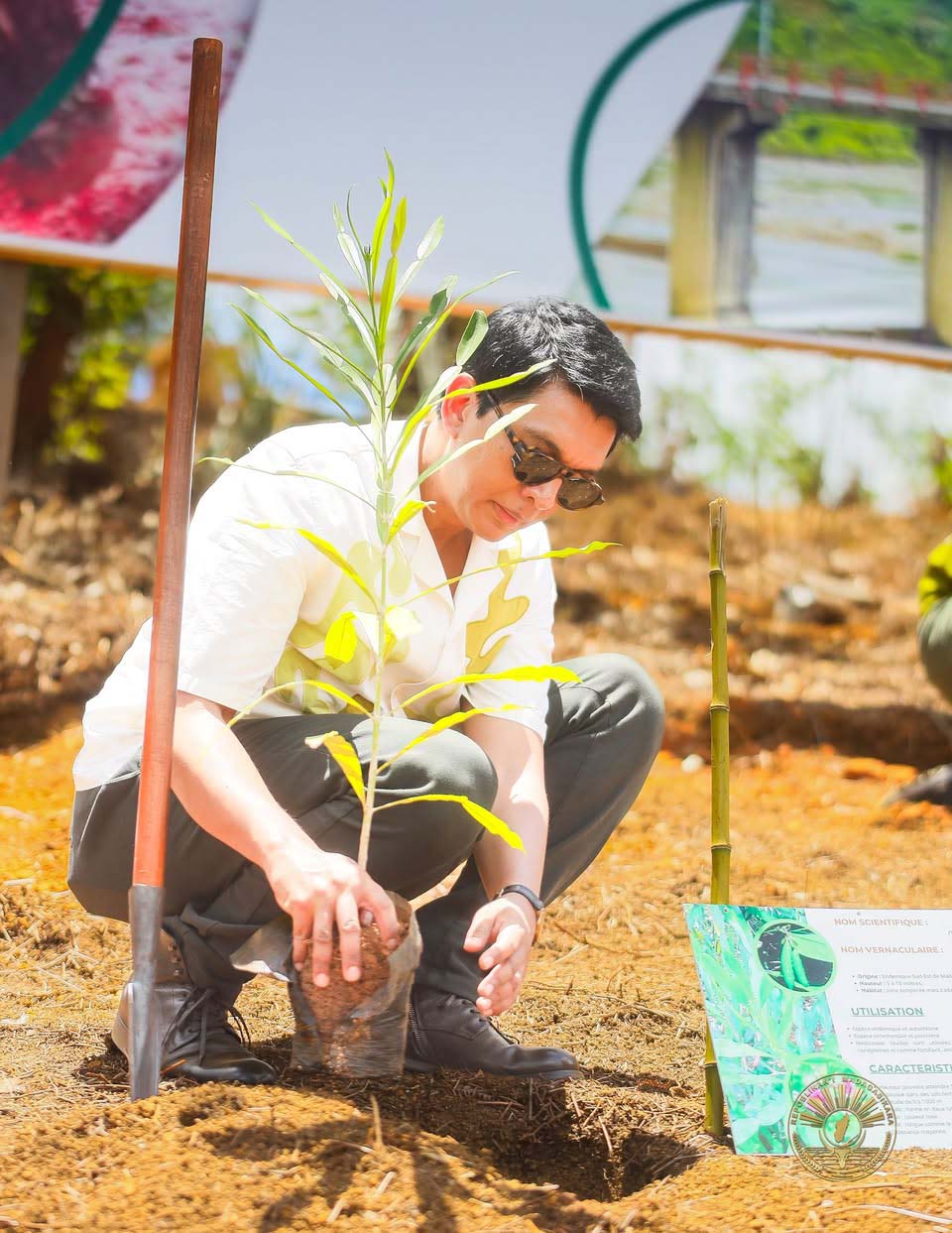 Lancement de la campagne de reboisement 2024-2025 : une mobilisation nationale pour sécuriser l’avenir énergétique et environnemental
