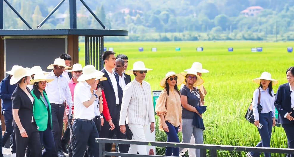Madagascar engage sa coopération avec la Chine pour l'autosuffisance alimentaire grâce au riz hybride