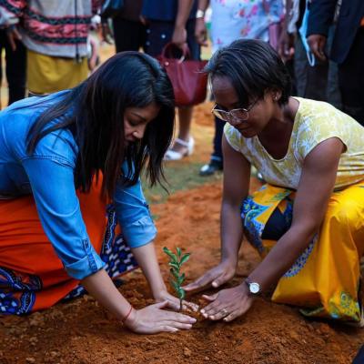 04 Mars 2021 Reboisement des arbres fruitiers et du thé, Sahambavy, Fianarantsoa, Région Haute-Matsiatra