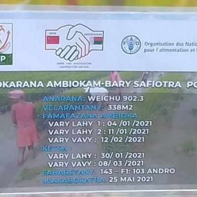 15 Mai 2021 - Projet riz hybride, CR Ambandrika, Région Alaotra Mangoro