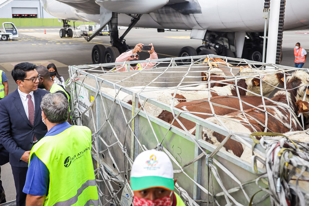 TITRE VERT: TONGA NY AMPAHANY AMIN'IREO OMBIVAVY BE RONONO NAFARAN'NY FITONDRAM-PANJAKANA